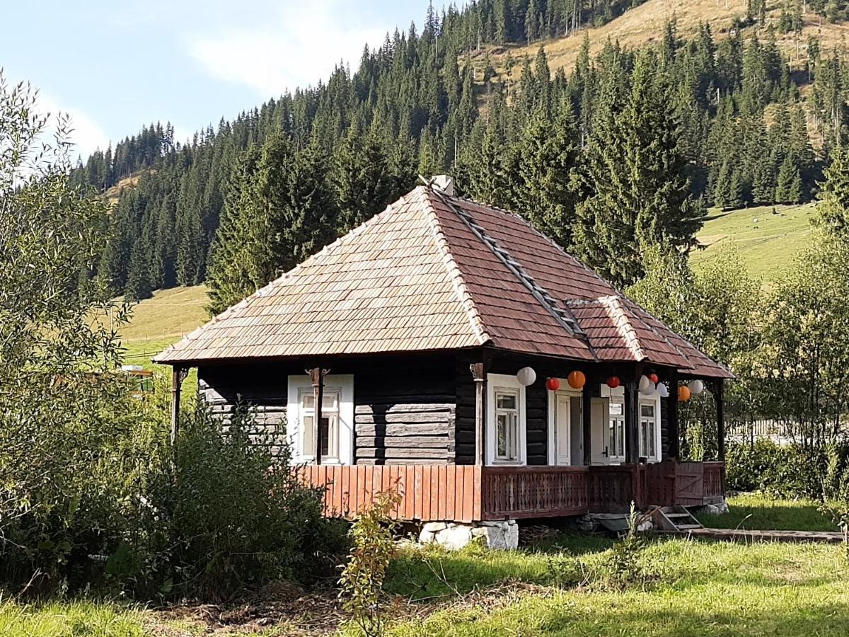 Hotel La Malu' Bistritei - Casutele Valea Stanii Exteriér fotografie
